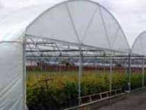 CERTIFICATE IN HORTICULTURE NURSERY MANAGEMENT