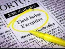 Diploma in field Sales Executive Course