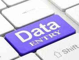 Certificate In Data Entry Operator (DEO)