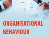 Online Course Certificate in Organizational Behaviour