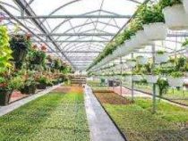 Online Course Advance Diploma in Nursery Production Technology