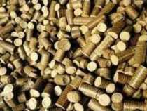 online course Certificate in Biomass Briquettes