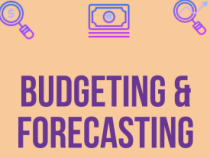 Online Course Certificate in Budgeting & Forecasting