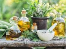 Certificate in Cosmetic & Herbal Industry Online Course