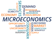 Online Course Certificate in Microeconomics Course