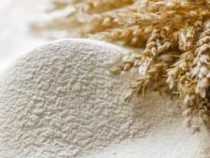 online course Certificate in Wheat Flour Milling Technology