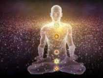 ONLINE COURSE DIPLOMA IN MEDITATION
