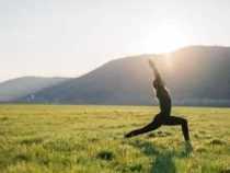ONLINE COURSE DIPLOMA IN YOGA & NATURE CARE