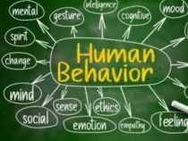 Online Course Diploma in Basics of Human Behaviour