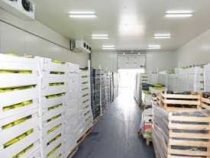 Online course Diploma in Cold Storage Manager