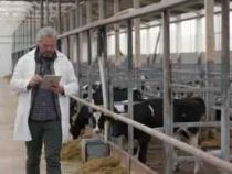 Online course Diploma in Dairy Farm Supervisor