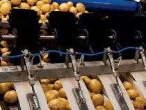 Online Course Diploma in Fruits and Vegetable Processing