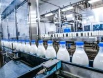 Online Course Diploma in Milk Product Manufacturing