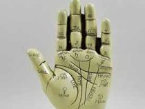 Online Course Diploma in Palmistry