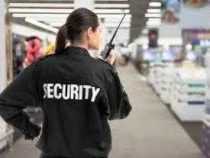 Online course Diploma in Security Supervisor