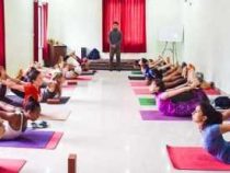 Online Course Diploma in Yoga Teacher Education