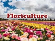 Floriculture Course