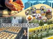 Diploma in Food Processing