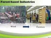 online Forest Based Industries Course