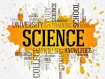 Online Course Diploma in Management Science
