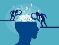 Online Course Diploma in Counselling Psychology Skills
