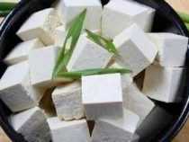 online course Certificate in Paneer Processing