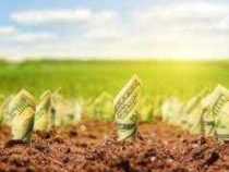 Online Course Professional Training in Agri-Business Operations