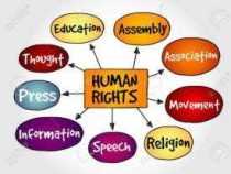 Online Course Advanced Diploma in Human Rights