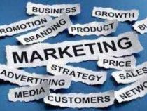 Online course Diploma in Marketing and Brand Management