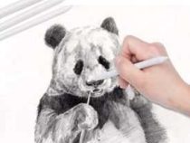 Sketching Course