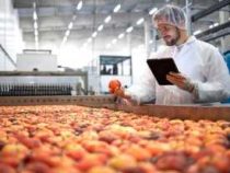 Online Course Certificate in Quality Control and Quality Assurance (Food Industry)
