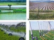 online course diploma in Agriculture Water Management
