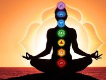 diploma in Yoga and Meditation online course