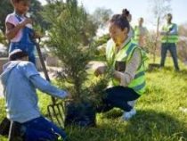 Diploma in Forest Management and Conservation course