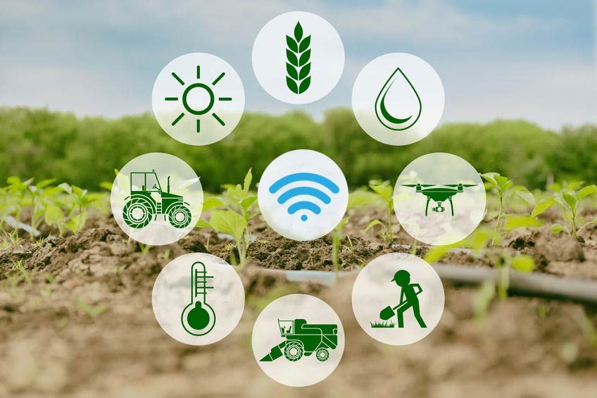 Empowering Farmers through Skill Development and Training
